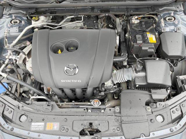 20105885_carP_l_16.jpg