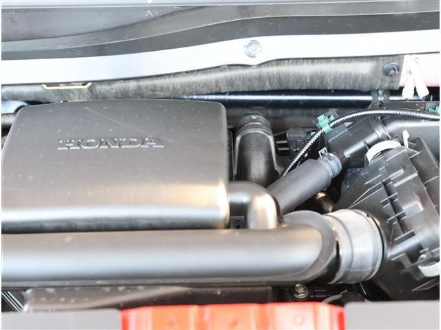 22587463_carP_l_18.jpg