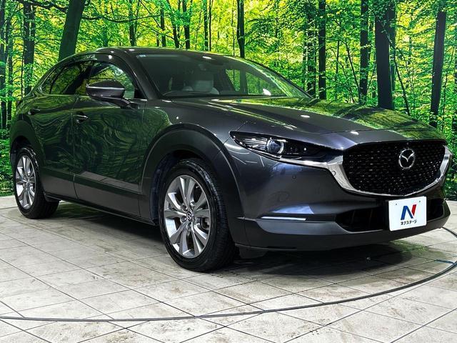 21290013_carP_l_11.jpg