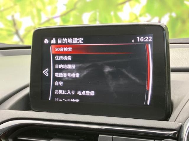 21658976_carP_l_5.jpg