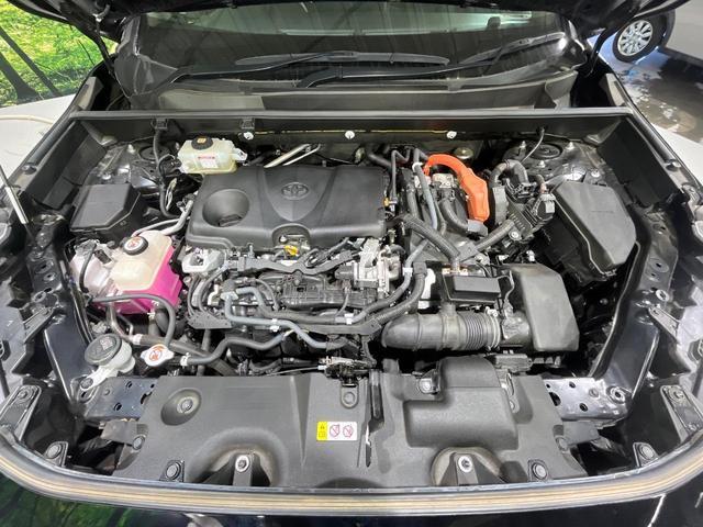 21690287_carP_l_16.jpg