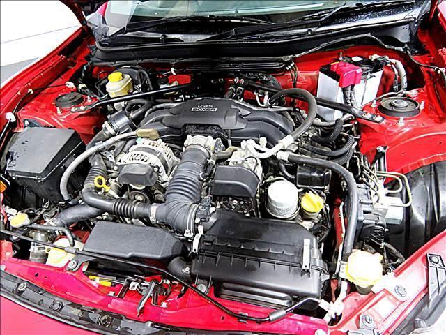 15089629_carP_l_17.jpg