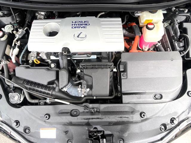 22096128_carP_l_16.jpg