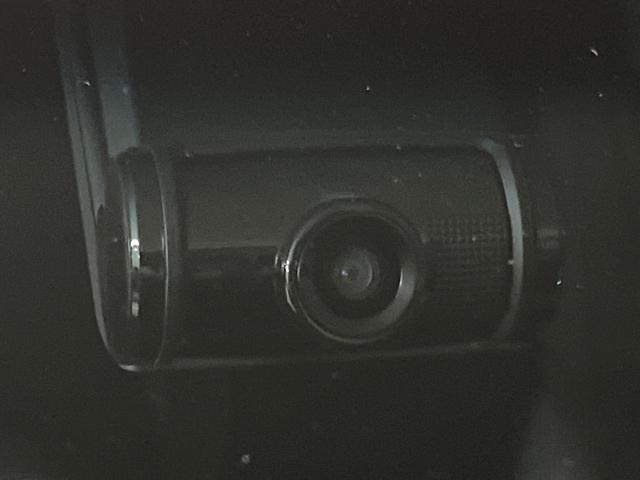 21708936_carP_l_14.jpg