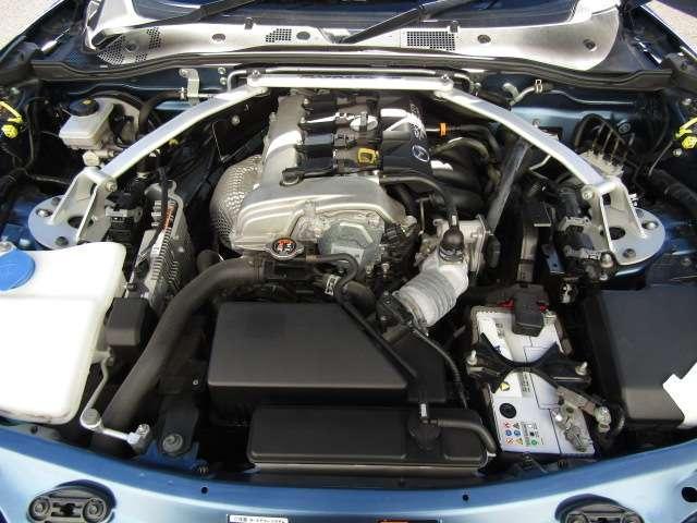 21621273_carP_l_7.jpg