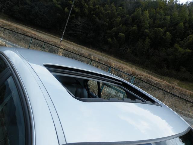 1001999A30260128W00109.jpg