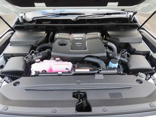 22278048_carP_l_20.jpg