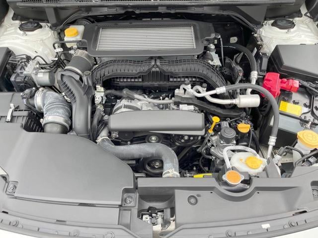 18359445_carP_l_16.jpg
