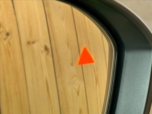 20019873_carP_l_14.jpg