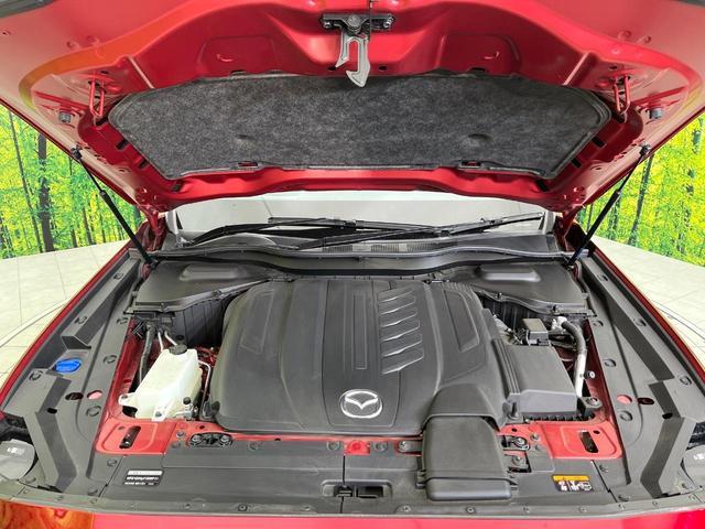 21096277_carP_l_16.jpg