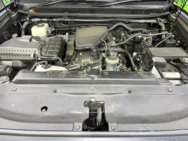 21966528_carP_l_16.jpg