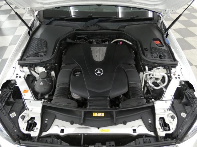 23111610_carP_l_18.jpg