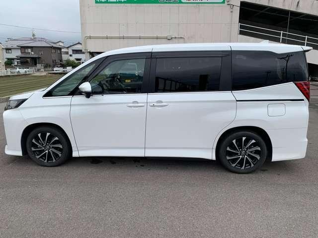 20277330_carP_l_19.jpg