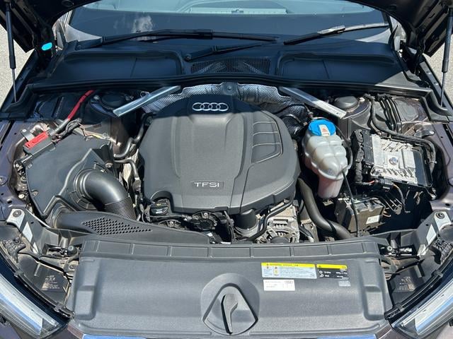 0551531A30250403W00114.jpg
