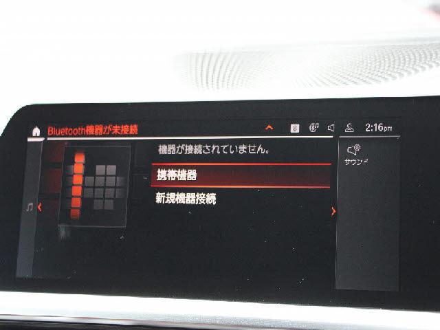 21241045_carP_l_14.jpg