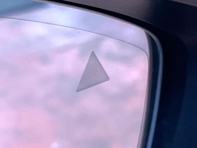 23168692_carP_l_13.jpg