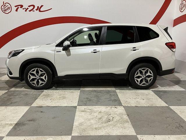 f7714c8cfeacbee09f1fdc8c47163fa6.jpg