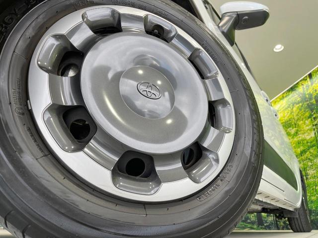 22506093_carP_l_8.jpg