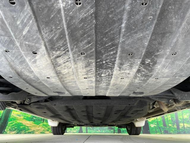 22449297_carP_l_20.jpg