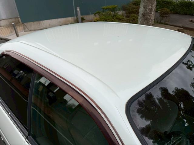 0570813A30260325W00113.jpg