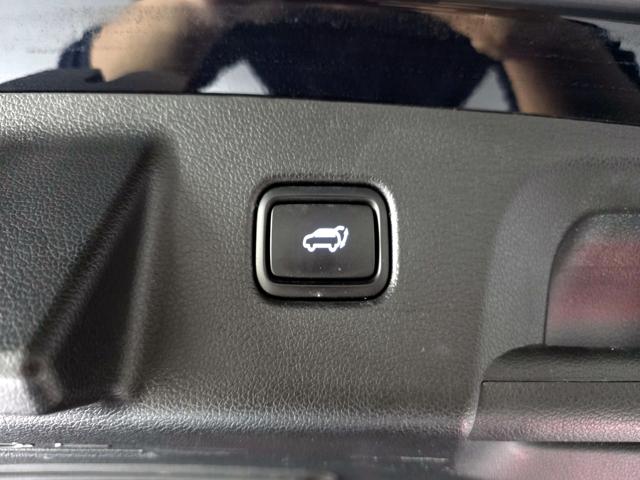 2c0355ba467a0999aeca43cfa68c291f.jpeg