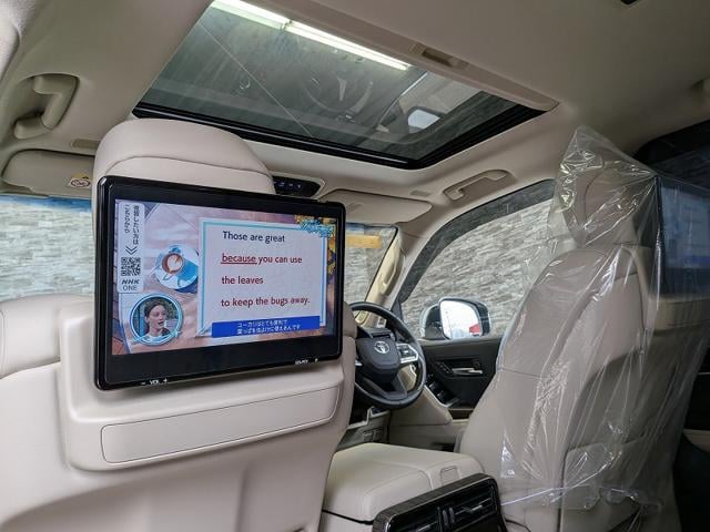 03143227045ff16992bfd90961ab7356.jpeg