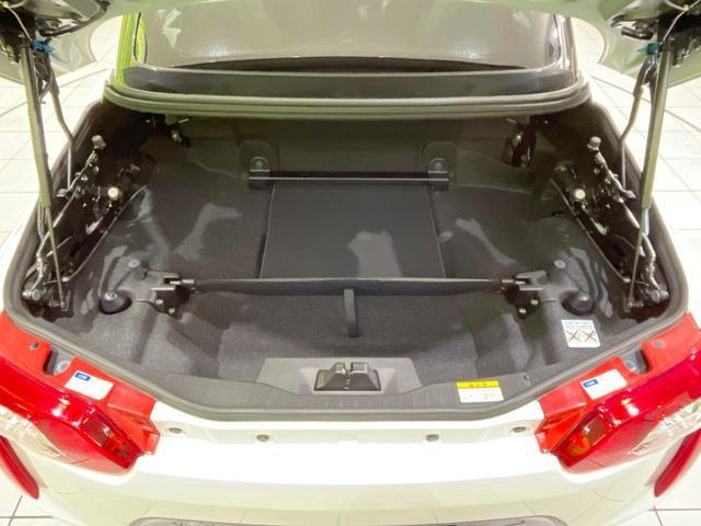 22372992_carP_l_19.jpg