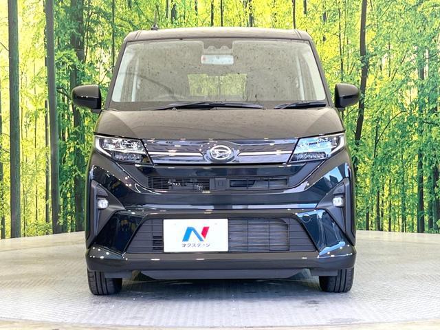 21983419_carP_l_8.jpg