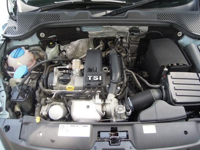 22071583_carP_l_12.jpg