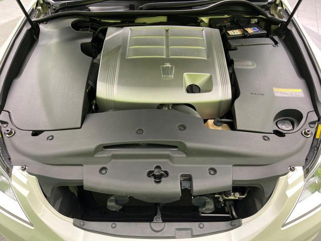21166743_carP_l_16.jpg