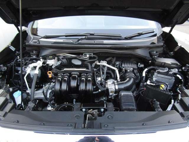 21098030_carP_l_18.jpg