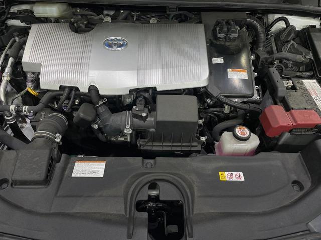 19898200_carP_l_16.jpg