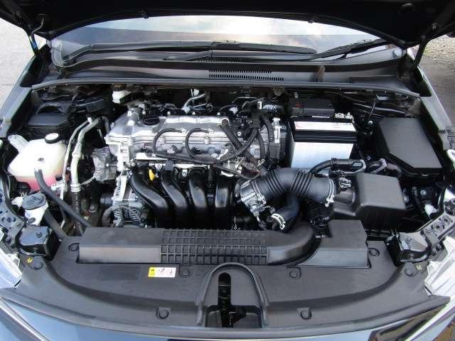 20979548_carP_l_5.jpg