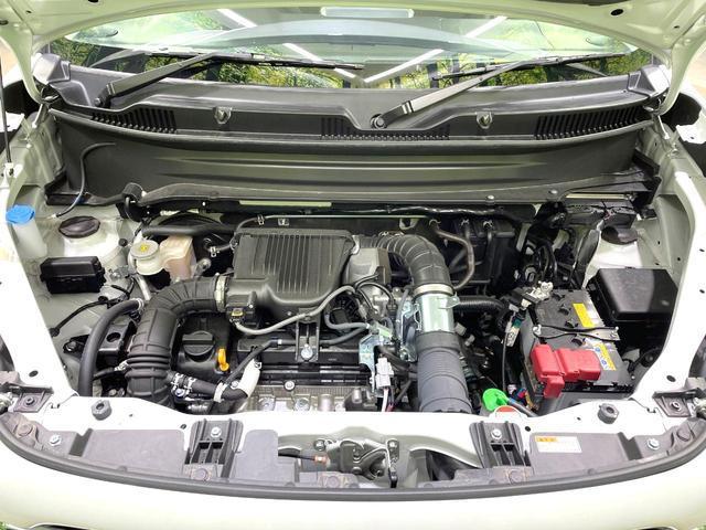 21344587_carP_l_16.jpg