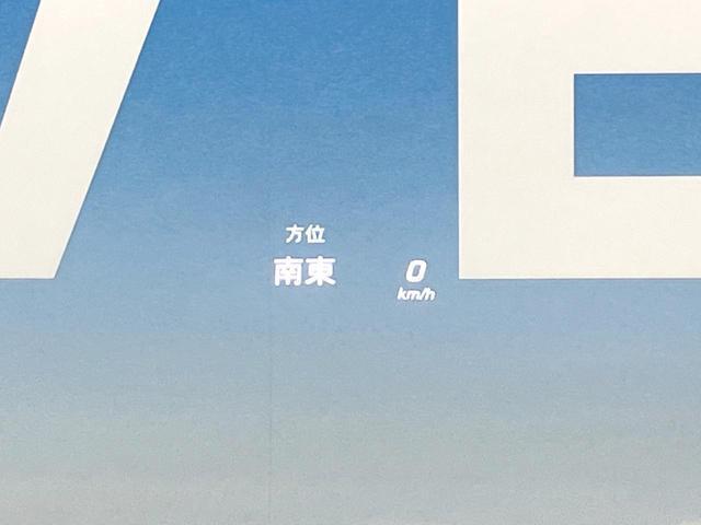 21027247_carP_l_13.jpg