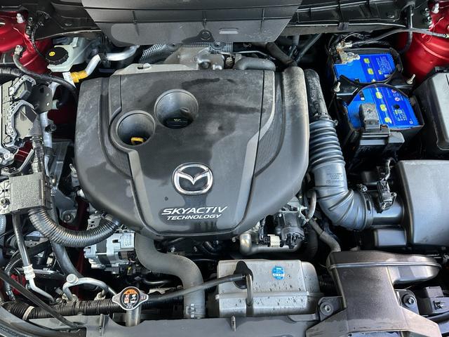 0540815A30260212W00315.jpg