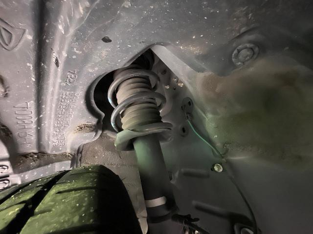 21343990_carP_l_20.jpg