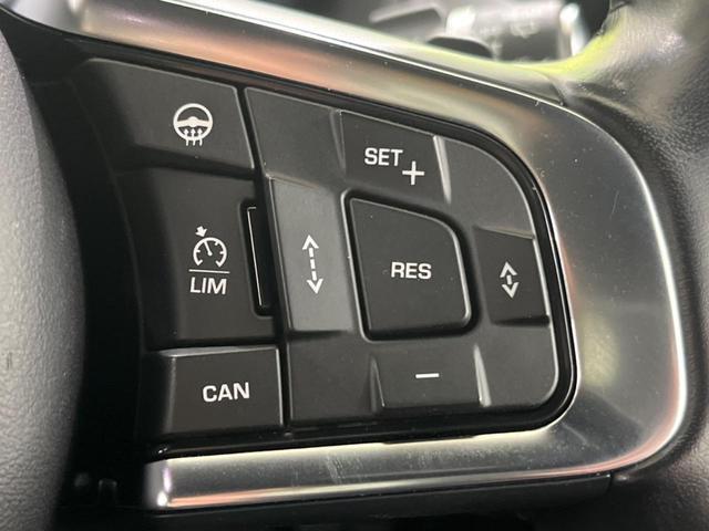 21565933_carP_l_5.jpg