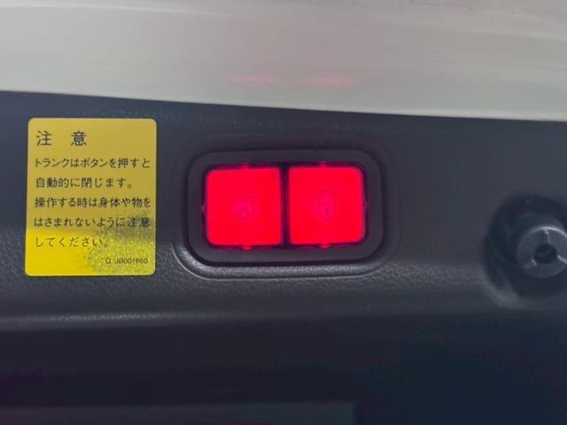 22698774_carP_l_11.jpg