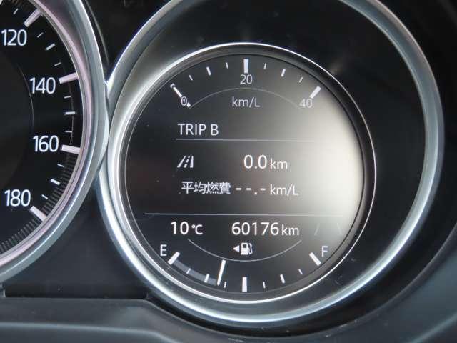 22492485_carP_l_8.jpg