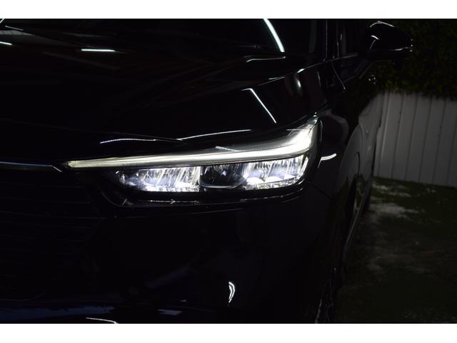0302979A30260130W00505.jpg