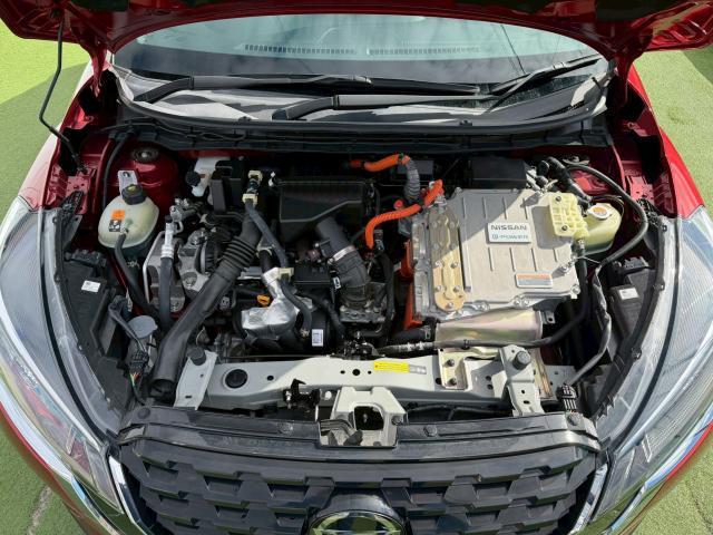 22026446_carP_l_12.jpg