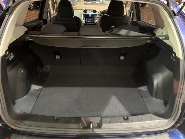 21008783_carP_l_7.jpg