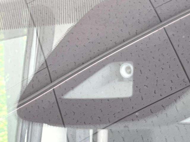 21799165_carP_l_10.jpg