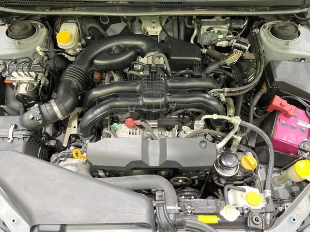 19770333_carP_l_16.jpg