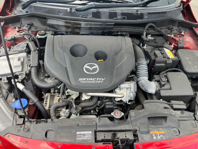 1000950A30250917W00218.jpg