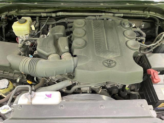 21027676_carP_l_16.jpg