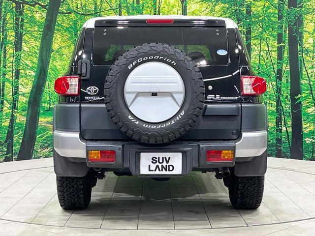 21027676_carP_l_9.jpg