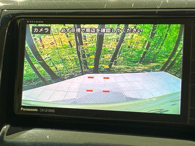 21601092_carP_l_10.jpg