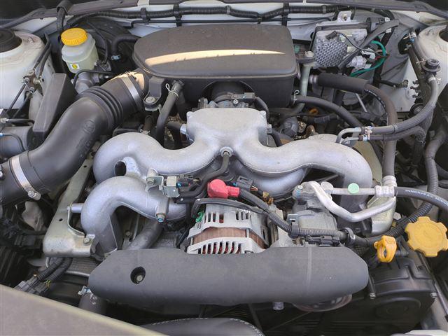 08.jpg